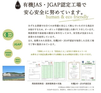 054-18　ゴクゴクすっきり静岡牧之原茶　ティーバッグ　3種