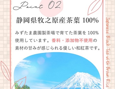 アレンジ 玄米茶 ティーバッグ ２種