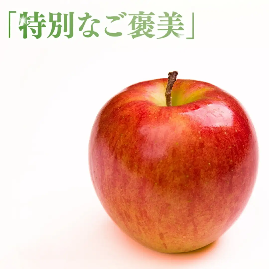 【2026年先行予約】りんご シナノスイート 12~20玉 約5kg|りんご