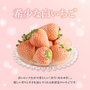 玄海町産白いちご「淡雪」と「さがほのか」ギフトセット｜食べ比べ 白苺 果物 フルーツ 旬【D009】