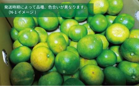 極早生みかん 5kg 先行予約 栽培期間中 農薬 化学肥料 除草剤 不使用 なかい果樹園 極早生みかん B012-144001