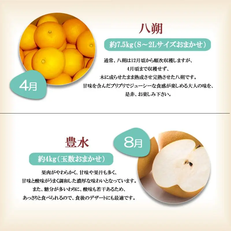 【定期便全6回】 有田川町の旬のフルーツをお届け！