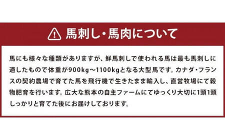 鮮馬刺しスライス&馬肉惣菜 10種セット 合計約1kg 馬肉 馬刺し 馬刺 熊本馬刺し 赤身 大トロ 霜降り ロース