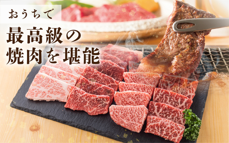 飛騨牛 A5等級 焼肉 霜降り 700g  焼肉 牛肉 [S427]