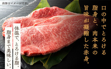 牛肉 長崎和牛 サーロインステーキ 計920g[OAA013]牛肉ステーキ