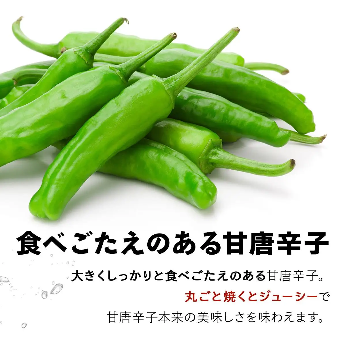 ＜先行予約＞北海道伊達産 大滝農園 甘唐辛子「松の舞」・ピーマン セット 約計2kg 野菜