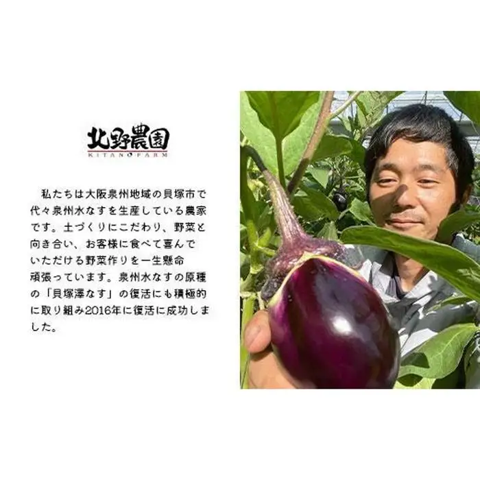 水なすぬか漬３個＋丸漬酸味３個