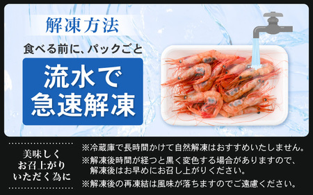 お刺身 セット 甘海老 250g × 2P ＆ 本まぐろ 中トロ 100g × 1P【福井県 冷凍 小分け 刺身 エビ マグロ】 [e04-a100]