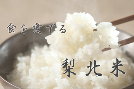 【定期便】【3回 米 定期便 】 武川米 コシヒカリ 5kg×3回 総計15kg [梨北農業協同組合 山梨県 韮崎市 20743671]