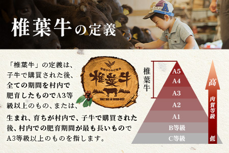 牛肉 【日本三大秘境の黒毛和牛】宮崎県産 椎葉牛 赤身ももブロック 500g A5等級指定 牛肉 牛もも肉 ももブロック肉 TK-81