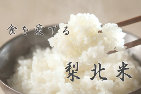 米 【定期便 12回 】梨北米 コシヒカリ 5kg 12回 総計 60kg こしひかり コシヒカリ お米 おこめ こめ コメ 精米 61キロ ご飯 ごはん 白米 お弁当 国産 JA 梨北 山梨 [梨北農業協同組合 山梨県 韮崎市 20743674] 