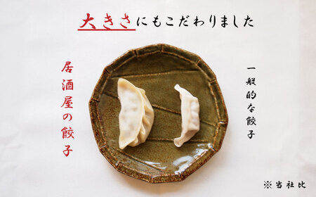 大きめ居酒屋餃子　600g　九州・沖縄配送不可【AN-001】