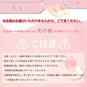 桃 約2kg 先行予約 7～9玉  L~3L くだもの 贈答用 下関 山口 HJ006