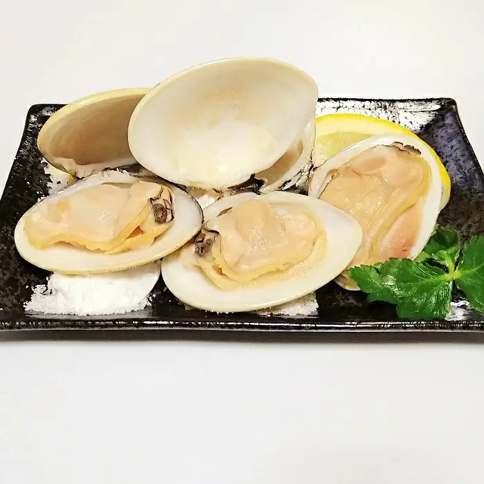 ＜定期便＞ 九十九里産 大粒 はまぐり4.0kg×3回 計12kg SHF004/ 絶品天然はまぐり 万能食材天然はまぐり 九十九里産天然はまぐり 蛤 ハマグリ海鮮 貝 貝類 