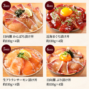 お魚の漬け丼バラエティ7回定期便 N019-YF072