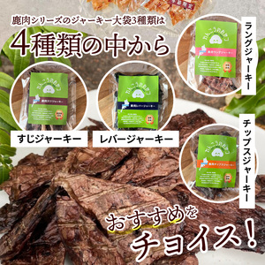 愛犬の手作りおやつ 大袋5点セット　全犬種対象 鹿肉 ペット ペットフード ジャーキー チップス 詰め合わせ Wanfood BULAN DK-0002