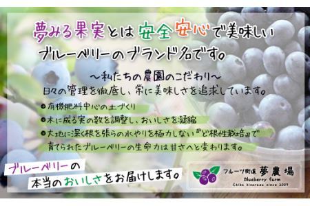 ＜有機栽培ブルーベリー使用＞夢みる果実ブルーベリー酒　300ml×2本