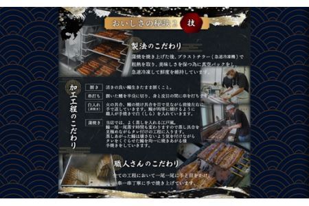 うなぎの蒲焼　台湾産〈冷凍・真空〉約45ｇ×4パック　合計約180ｇ