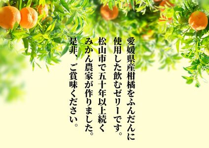 【ゼリー】 おまかせ10種 飲むみかんゼリー 詰め合わせ ｜愛媛県松山市【PT0322】