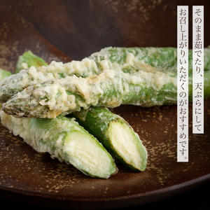 2026年産 柔らかくてみずみずしい朝取りグリーンアスパラ(春芽)3L 1kg【配送不可地域：離島】 AF028 | アスパラガス