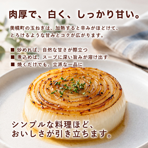 【 先行予約玉ねぎ】北海道産 玉ねぎ Lサイズ20kg [◆発送10月~2月] AF