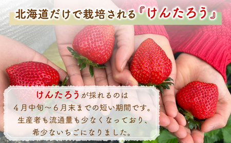 【2026.4月下旬以降順次出荷】北海道 豊浦 いちご 小玉 けんたろう 250g×4パック1箱 約1kg 