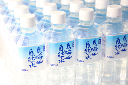 鳥海山自然水500ml 30本