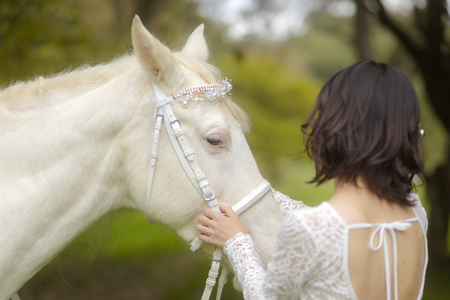 馬と撮影 カジュアルプラン [0092]