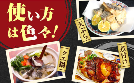 【 対馬産 】 天然 クエ 500g （切り身） 鍋 水炊き [WAB004]天然くえ 高級魚 アラ 下処理 クエ