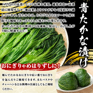 自家農園栽培 青たかな漬け(2.5kg)たかな 高菜 ちりめん高菜 漬物 漬け物 ご飯のお供 おにぎり 自家農園 大分県産【103200100】【松本漬物】
