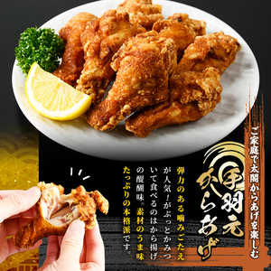 宇佐からあげ「太閤」セット(合計1.25kg・3種) 年内配送 から揚げ 唐揚げ 骨なし 手羽元 砂肝 砂ずり 簡単 冷凍 惣菜 弁当 おかず おつまみ 揚げるだけ 【101100100】【太閤】