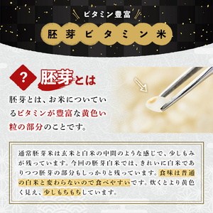 ＜令和7年産＞大分県産ひのひかり 胚芽ビタミン米(計6kg・3kg×2パック)米 お米 ひのひかり ヒノヒカリ 白米 真空パック 大分県産【107800202】【お米の鈴木】