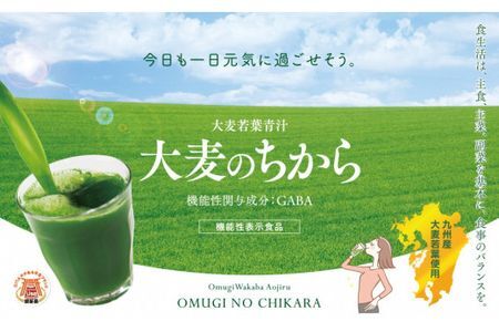 大麦若葉青汁 大麦のちから(計90g・3g×30袋)青汁 大麦若葉 GABA 飲料 粉末 常温【101601900】【江戸心本館USA　未来ファクトリー事業部】