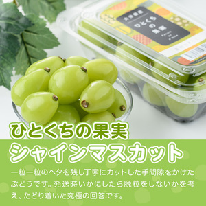 ＜先行予約受付中！2026年8月上旬以降順次発送予定＞ひとくちの果実 シャインマスカット(計600g・300g×2パック)国産 ぶどう 葡萄 フルーツ 果物 くだもの 果実【100702300】【宮田ファミリーぶどう園】