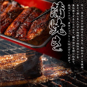 うなぎ処 四代目 志おや 九州産うなぎ 蒲焼(竹・1本)うなぎ 鰻 ウナギ 国産 九州産 蒲焼き うな重 ひつまぶし タレ付き 勝負めし 【109400101】【志おや】