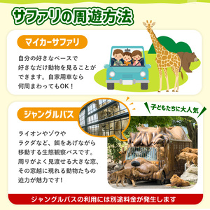 アフリカンサファリ入園券とオリジナルクリアファイルのセット(入園券(大人1枚・小人1枚)とクリアファイル)チケット 動物園 サファリパーク形動物園 家族旅行 デート 観光【110600400】【九州アフリカ・ライオン・サファリ】