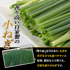 鉄板バル葱屋の ねぎしゃぶセット(2～3人前)ねぎしゃぶ しゃぶしゃぶ 豚肉 ぶた肉 ぶたにく お肉 鍋セット 乾麺 出汁 だし ポン酢 勝負めし【110700501】【葱屋おおくぼ】