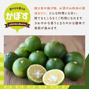 ＜先行予約受付中！2026年8月上旬以降順次発送予定＞露地カボス(約5kg)かぼす カボス 柑橘 特産品 大分県産【107100403】【あいはな農園】