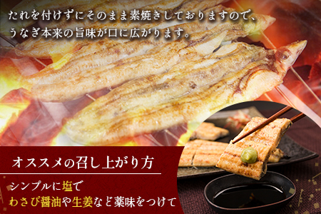 ＜6か月定期便＞【玄人の一品】うなぎ白焼き 4尾 計800g以上【G38】