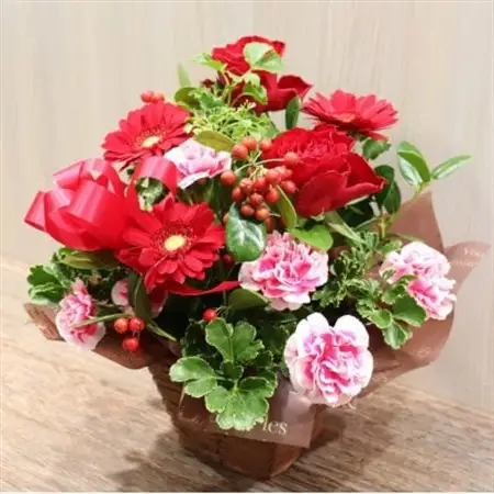 【レッド系:バラ、ガーベラ+季節のお花】生花アレンジメント【配送不可地域：離島】【1379830】