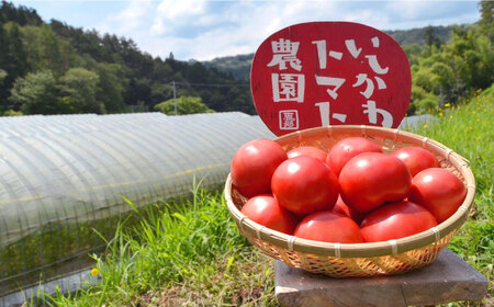【ギフト箱入り】トマトお楽しみセット（ジュース・ケチャップ・ソース）いちごジャム付き / 恵那市 / クリエイティブファーマーズ [AUAH012]