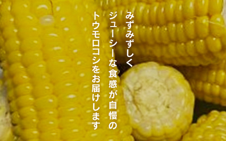 髙田さんスイートコーン 約5kg とうもろこし 朝どれ とうもろこし 野菜 日野町