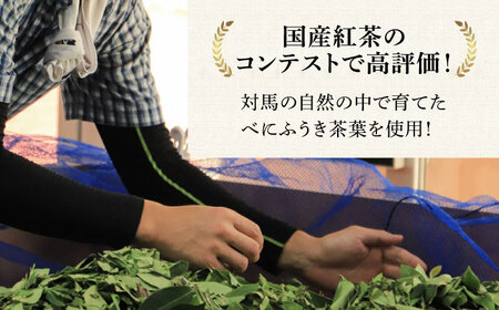 【全6回定期便】【2ヶ月に1回お届け】対馬 紅茶 ティーバッグ 20包入×3個 お茶 ティー べにふうき茶葉 フルーティー  [WBE008]