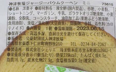 【神津牧場】ミニバームクーヘン10個セット こだわり ジャージー牛乳 手土産 おやつ デザート スイーツ F21K-306