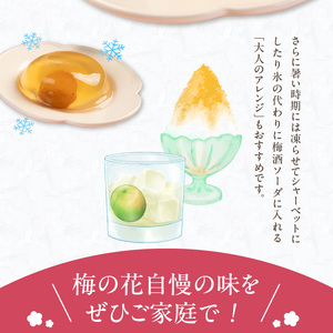梅の花　梅ゼリー　12個入_梅ゼリー 95g × 12個 完熟 南高梅 まるごと 一粒 使用 優しい 甘さ 喉越し 爽やか とろける 食感 アレンジ シャーベット 梅酒ソーダ 梅 ゼリー おやつ デザート スイーツ フルーツゼリー 和菓子 贈答用 手土産 お取り寄せ グルメ 福岡県 久留米市 送料無料 〔Dw043〕