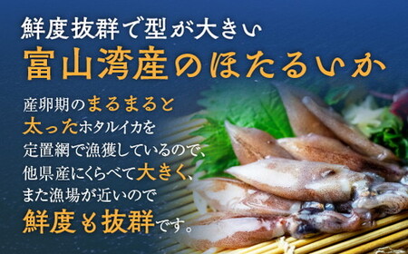 【6か月定期便】ほたるいか 素干し 100枚 ｜ おつまみ 肴 ハマオカ海の幸 定期便 魚貝類 干物 加工品 いかの干物 ホタルイカの干物 お酒のあて 日本酒に合う 晩酌 ※北海道・沖縄・離島への配送不可