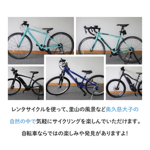 奥久慈 サイクルステーション Eバイク 1日 ペア利用券（道の駅 奥久慈だいご）(BS001)