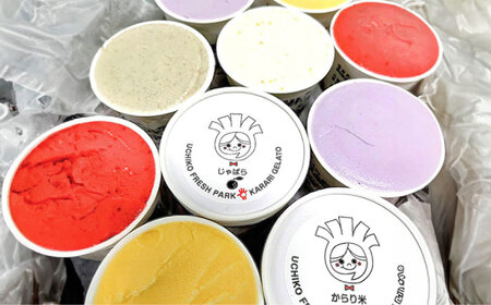 ジェラート&ソルベ 12個 BKAD090