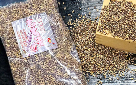 内子町産もち麦2kg BKAD009