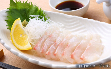 愛媛県産養殖真鯛フィレ2枚 BKBA001